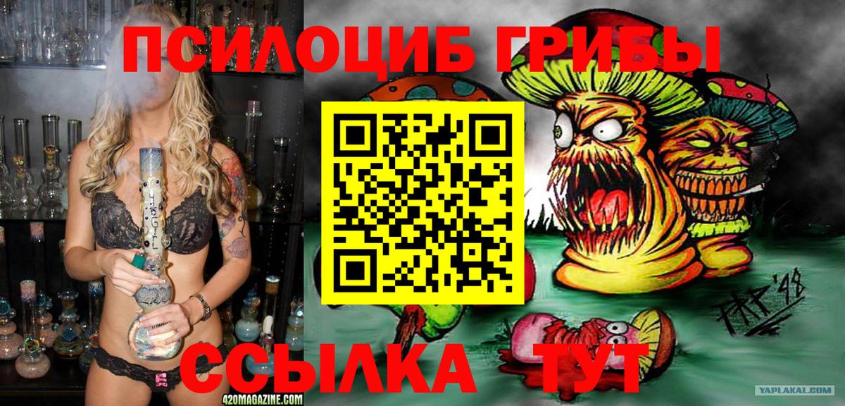 Галлюциногенные грибы Psilocybe Вязники